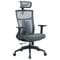 Фото - Крісло офісне OfficePro Balance OC550-B-DG-DG Black/Dark Gray | click.ua