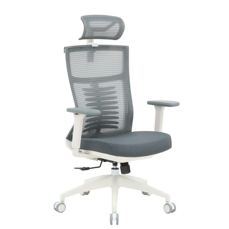 Крісло офісне OfficePro Balance OC550-W-DG-DG White/Dark Gray