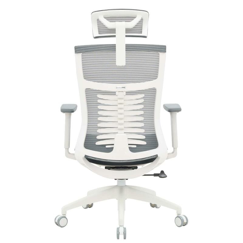 Крісло офісне OfficePro Balance OC550-W-DG-DG White/Dark Gray