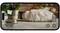 Фото - Робот-пылесос Mova V50 Ultra Complete Black (RLV72LE-1-bl) | click.ua