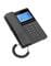 Фото - IP-телефон Grandstream GHP631 | click.ua