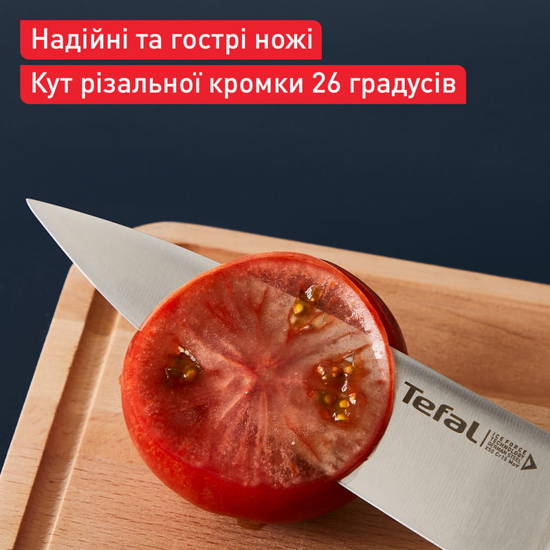 Набор ножей Tefal Ice Force в пластиковой колодке 4 предмета (K2325S75)