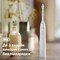 Фото - Зубна електрощітка Philips Sonicare Series 5300 HX7108/02 | click.ua