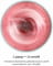 Фото - Фитнес-блендер Tefal Lightmix BL1C0430 | click.ua