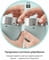 Фото - Фитнес-блендер Tefal Lightmix BL1C0430 | click.ua