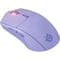 Фото - Миша бездротова SteelSeries Rival 3 Gen 2 Wireless Lavender (62525) | click.ua