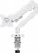 Фото - Кріплення настільне для монітора OfficePro 17-40" White (MA451W) | click.ua