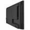 Фото - Монітор Neovo 31.5" PM-3202 VA Black | click.ua