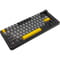 Фото - Клавиатура Ajazz AK820 Max Magnetic Switch Black (AK820MAX-WM-BGY) | click.ua