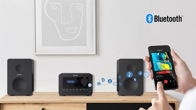 Мікросистема Sharp Micro Sound System Black (XL-B514(BK))
