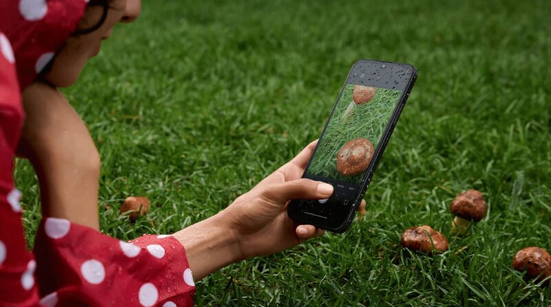 Смартфон Xiaomi Redmi 15C 8/256GB Midnight Black