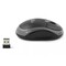 Фото - Миша бездротова Esperanza Titanum TM116E Black-Grey USB | click.ua
