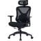Фото - Крісло офісне OfficePro Atlas OC630-B-B-B Black | click.ua
