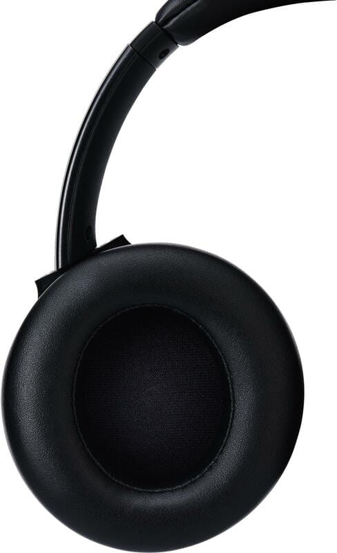 Bluetooth-гарнітура Panasonic RB-M600B Black (RB-M600BG-K)