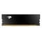 Фото - Модуль памяти DDR5 16GB/5600 Patriot Signature Line Premium (PSP516G560081H1) | click.ua