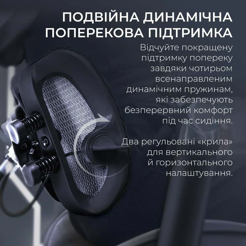 Крісло офісне Sihoo Doro S300 Mesh Dark Grey (S300-M201)
