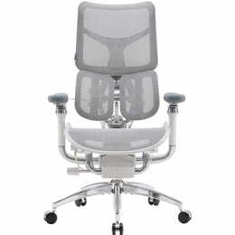 Крісло офісне Sihoo Doro S300 Mesh Light Grey (S300-M202)