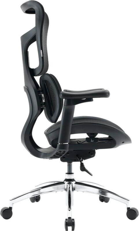 Крісло офісне Sihoo Doro S100 Mesh Black (S100-M301)