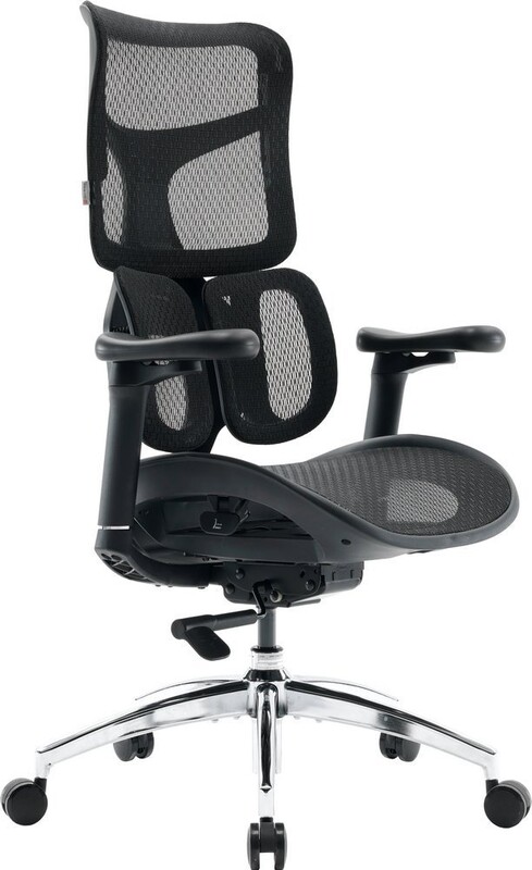 Крісло офісне Sihoo Doro S100 Mesh Black (S100-M301)