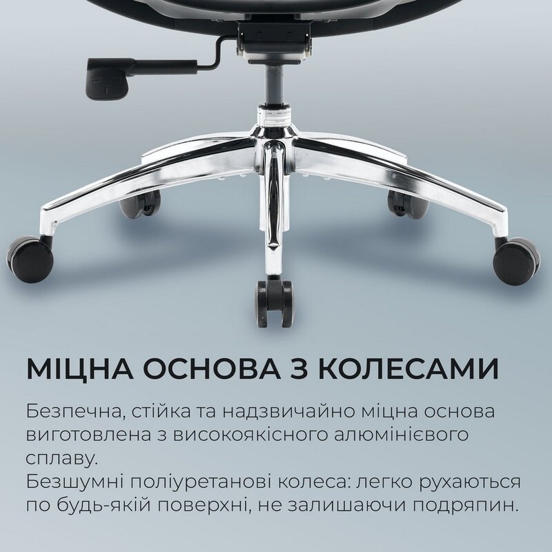 Крісло офісне Sihoo Doro S100 Mesh Black (S100-M301)