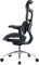 Фото - Крісло офісне Sihoo Doro S100 Mesh Black (S100-M301) | click.ua