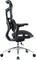Фото - Крісло офісне Sihoo Doro S100 Mesh Black (S100-M301) | click.ua