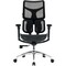 Фото - Крісло офісне Sihoo Doro S100 Mesh Black (S100-M301) | click.ua