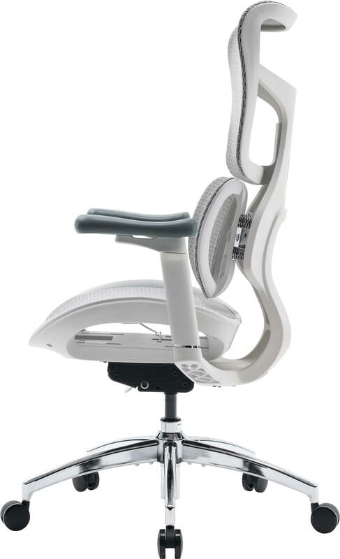 Кресло офисное Sihoo Doro S100 Mesh White (S100-M302)