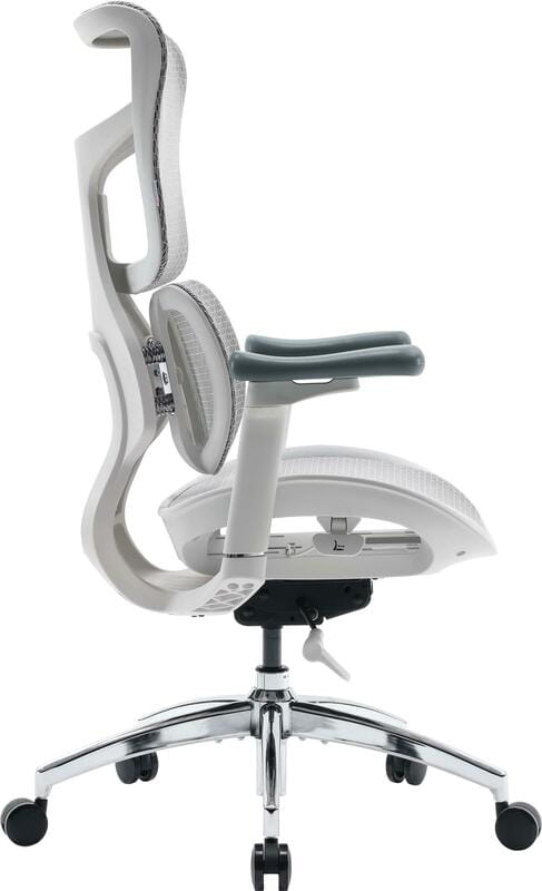 Кресло офисное Sihoo Doro S100 Mesh White (S100-M302)