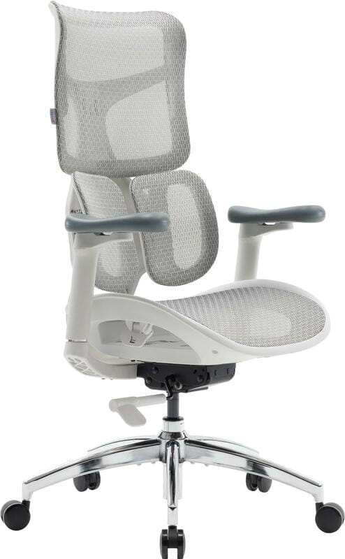 Кресло офисное Sihoo Doro S100 Mesh White (S100-M302)