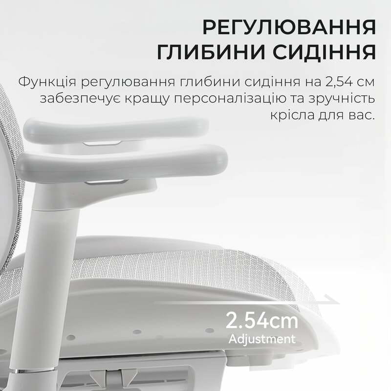 Кресло офисное Sihoo Doro S100 Mesh White (S100-M302)