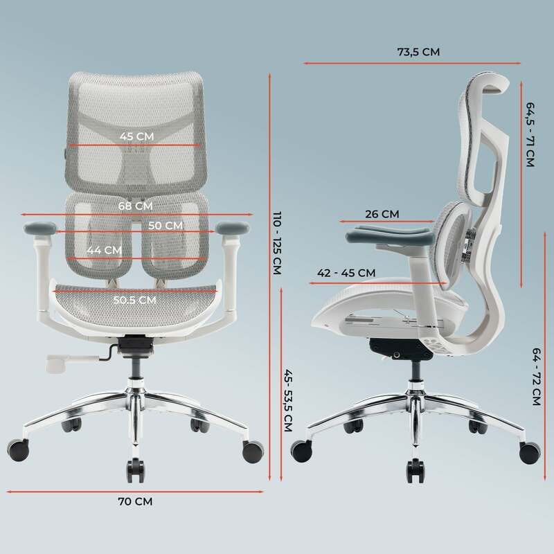 Кресло офисное Sihoo Doro S100 Mesh White (S100-M302)