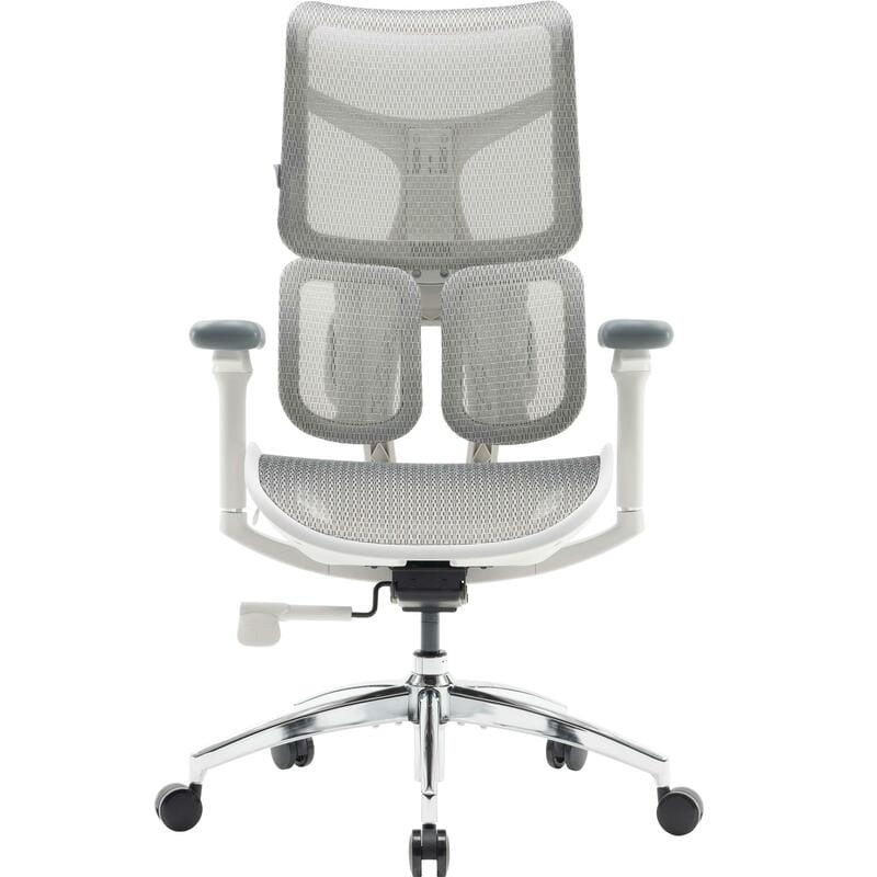 Кресло офисное Sihoo Doro S100 Mesh White (S100-M302)