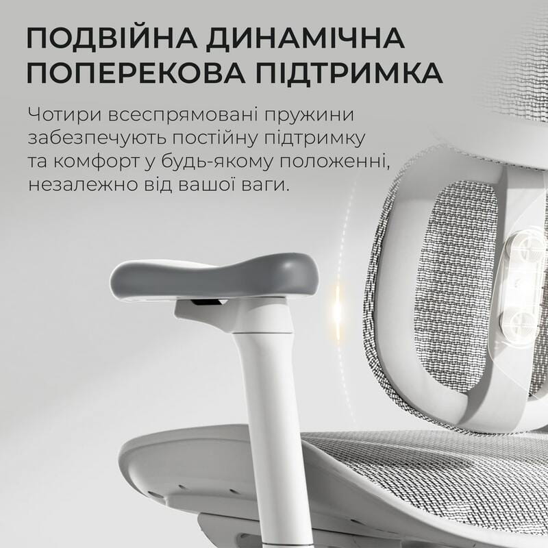 Кресло офисное Sihoo Doro S100 Mesh White (S100-M302)