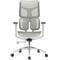 Фото - Кресло офисное Sihoo Doro S100 Mesh White (S100-M302) | click.ua