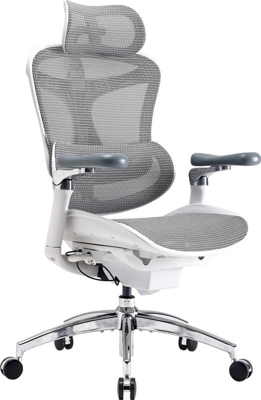 Крісло офісне Sihoo Doro C300 Pro Mesh White (DORO-C300-PRO-M102)