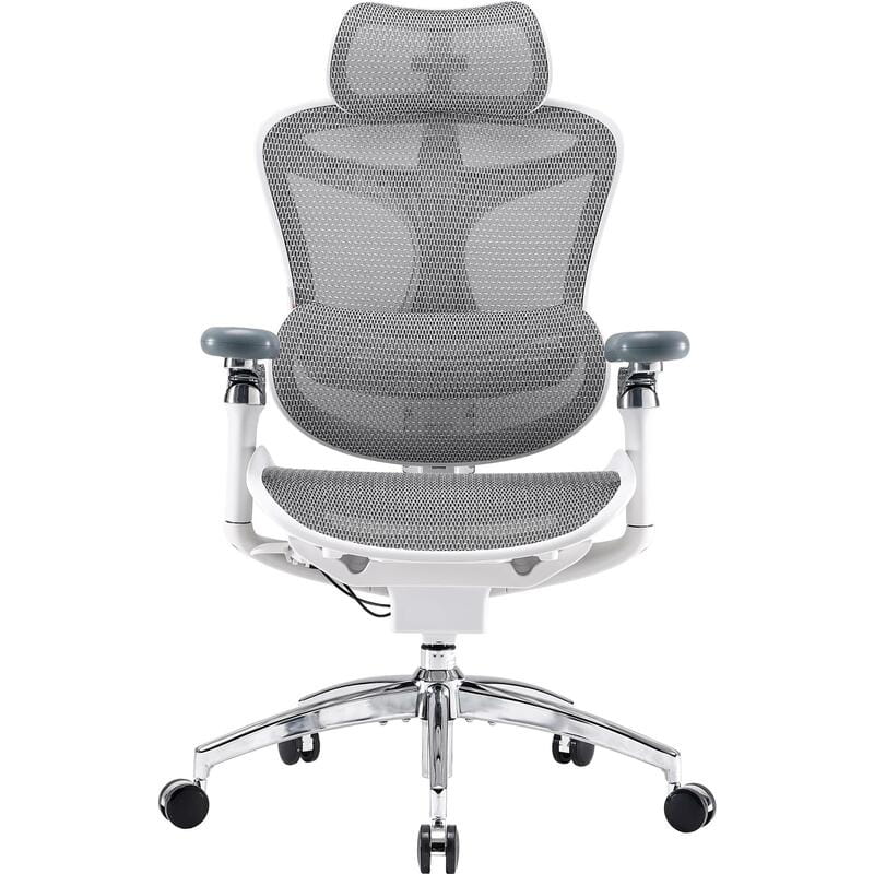 Крісло офісне Sihoo Doro C300 Pro Mesh White (DORO-C300-PRO-M102)