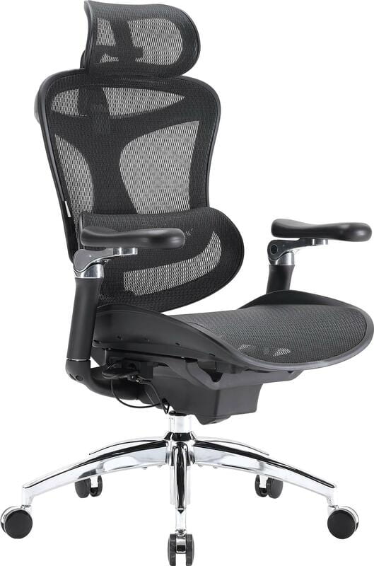 Кресло офисное Sihoo Doro C300 Pro Mesh Black (DORO-C300-PRO-M101)