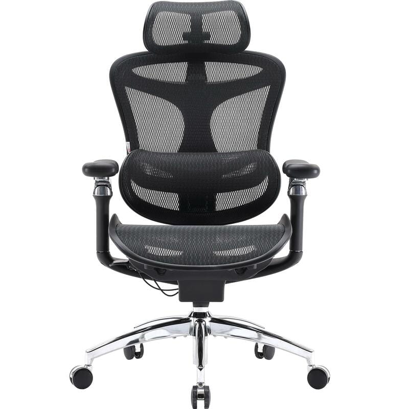 Кресло офисное Sihoo Doro C300 Pro Mesh Black (DORO-C300-PRO-M101)
