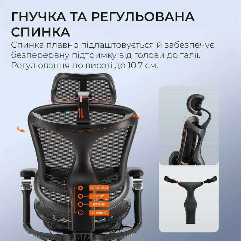 Кресло офисное Sihoo Doro C300 Pro Mesh Black (DORO-C300-PRO-M101)
