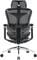 Фото - Кресло офисное Sihoo Doro C300 Pro Mesh Black (DORO-C300-PRO-M101) | click.ua