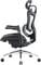 Фото - Кресло офисное Sihoo Doro C300 Pro Mesh Black (DORO-C300-PRO-M101) | click.ua