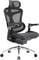 Фото - Кресло офисное Sihoo Doro C300 Pro Mesh Black (DORO-C300-PRO-M101) | click.ua