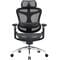 Фото - Кресло офисное Sihoo Doro C300 Pro Mesh Black (DORO-C300-PRO-M101) | click.ua