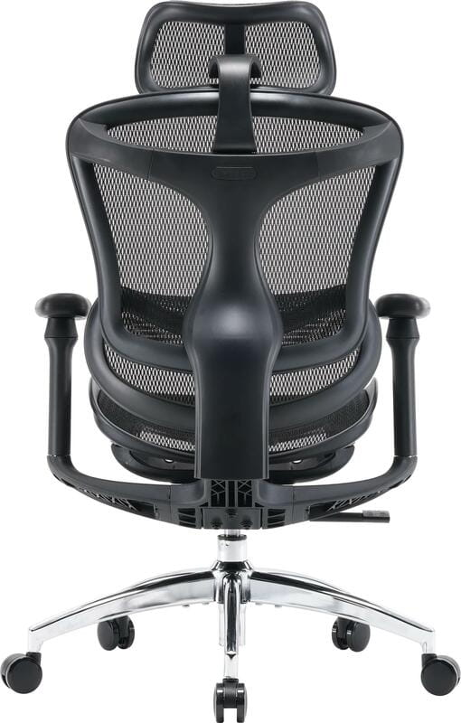 Крісло офісне Sihoo Doro C300L Mesh Black (DORO-C300L-A3-101)