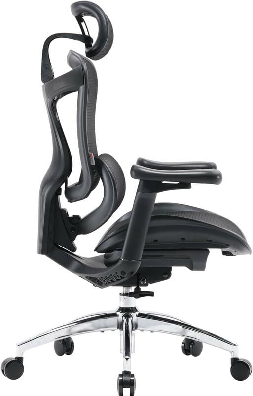 Крісло офісне Sihoo Doro C300L Mesh Black (DORO-C300L-A3-101)