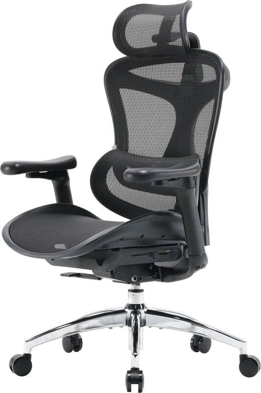 Крісло офісне Sihoo Doro C300L Mesh Black (DORO-C300L-A3-101)