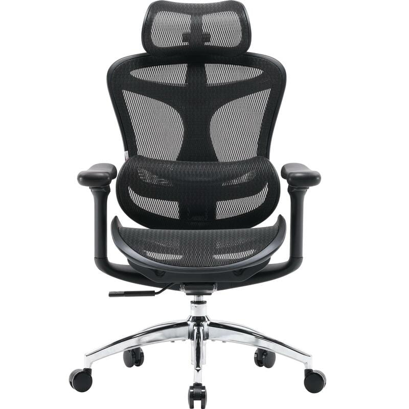 Крісло офісне Sihoo Doro C300L Mesh Black (DORO-C300L-A3-101)