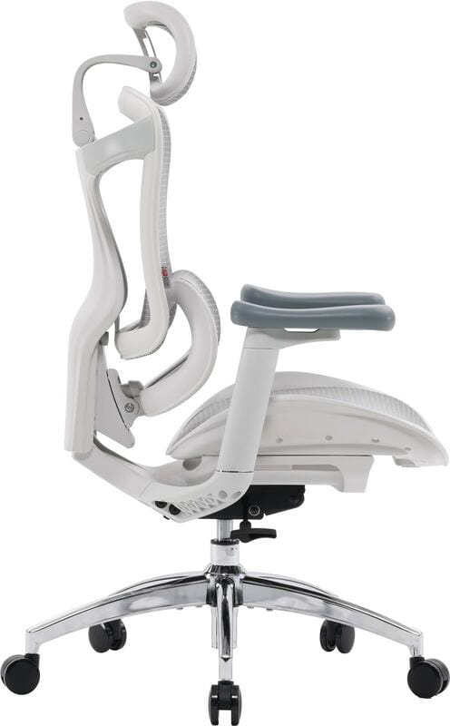 Крісло офісне Sihoo Doro C300L Mesh White DORO-C300L-A3-102)