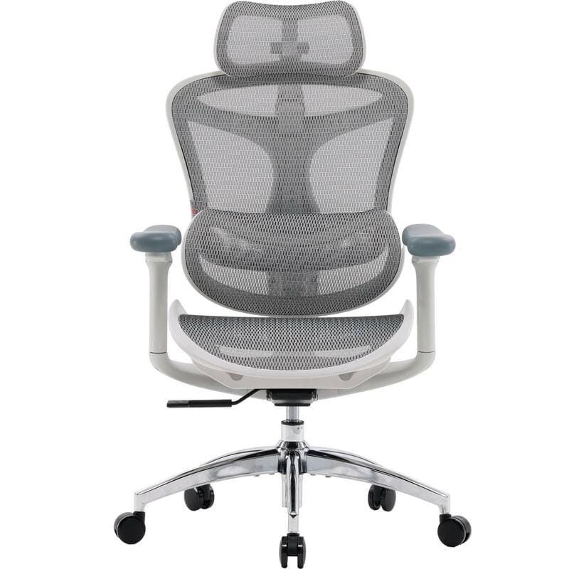 Крісло офісне Sihoo Doro C300L Mesh White DORO-C300L-A3-102)